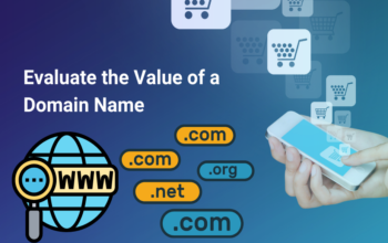 A Guide to Evaluate the Value of a Domain Name