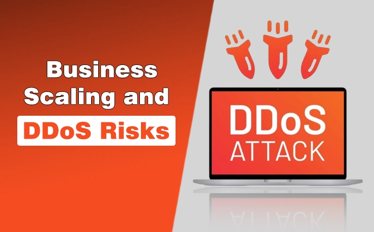 Business Scaling and DDoS Risks