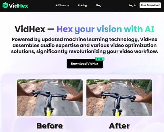 Download VidHex Button