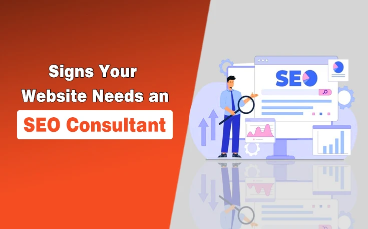 SEO Consultant