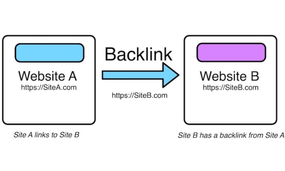 Role of Backlinks