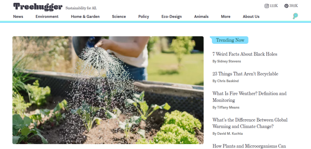 Treehugger - Blog Examples for Beginners 