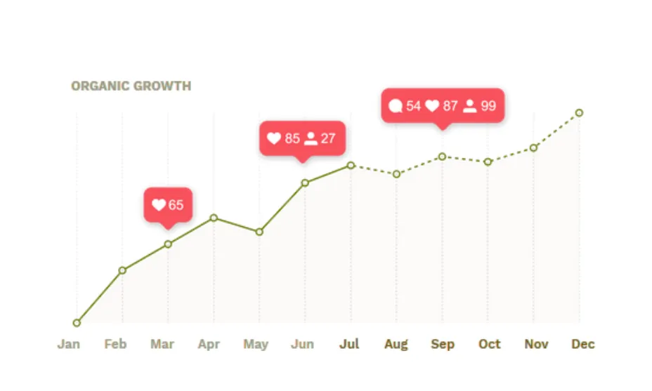 Organic Instagram followers